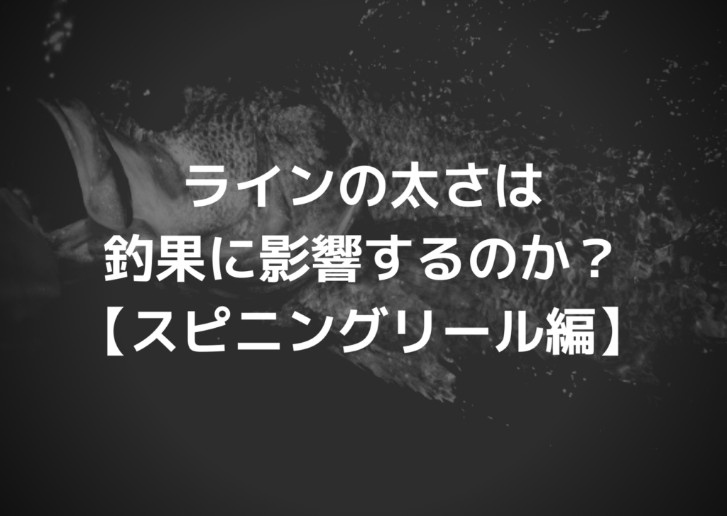 ラインの太さは釣果に影響するのか スピニングリール編 つれつれlab