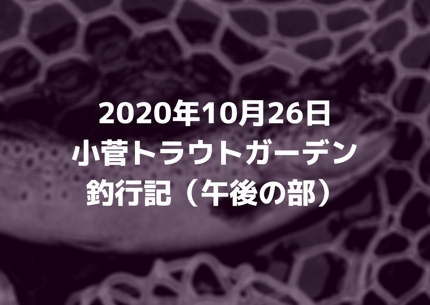 エリアトラウトにおけるエステルラインの特徴 つれつれlab