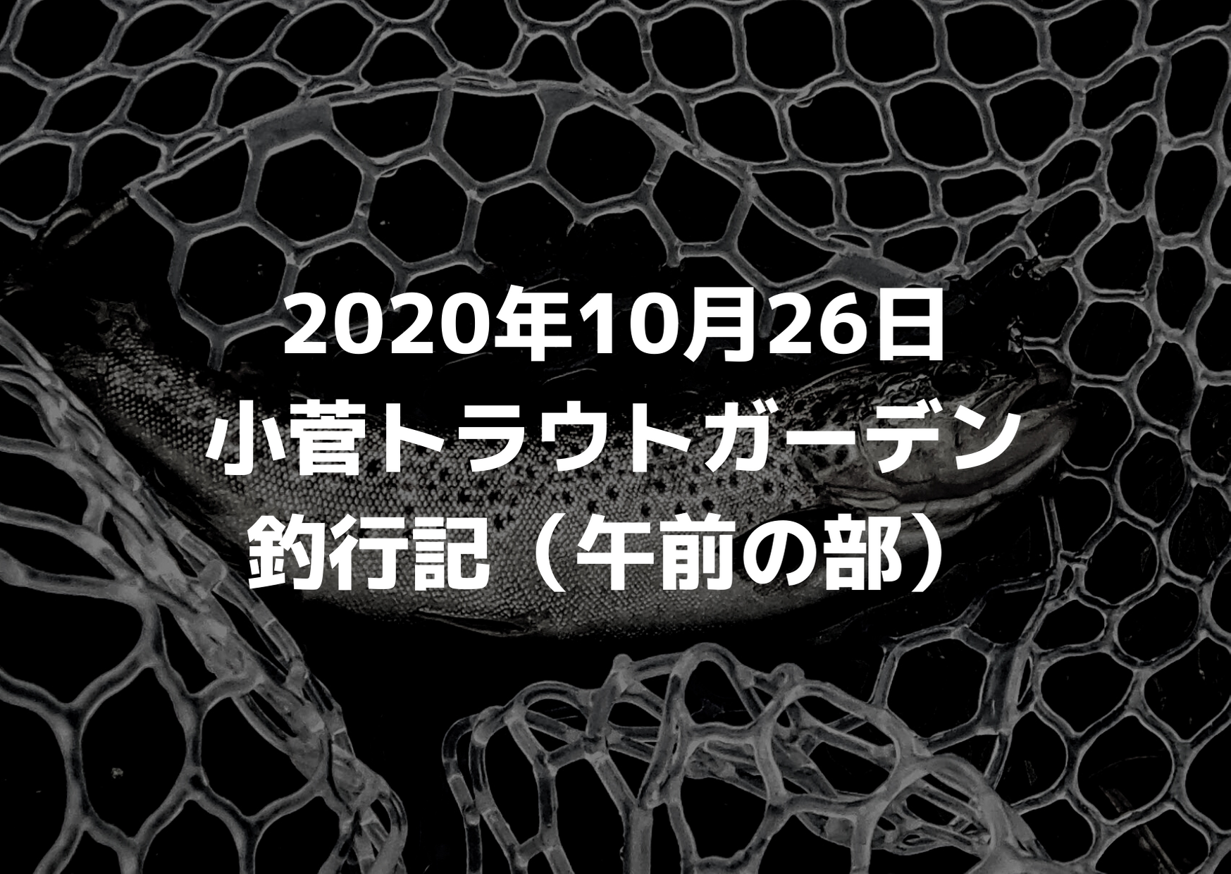 エリアトラウト入門者にお勧めするラインの太さ つれつれlab