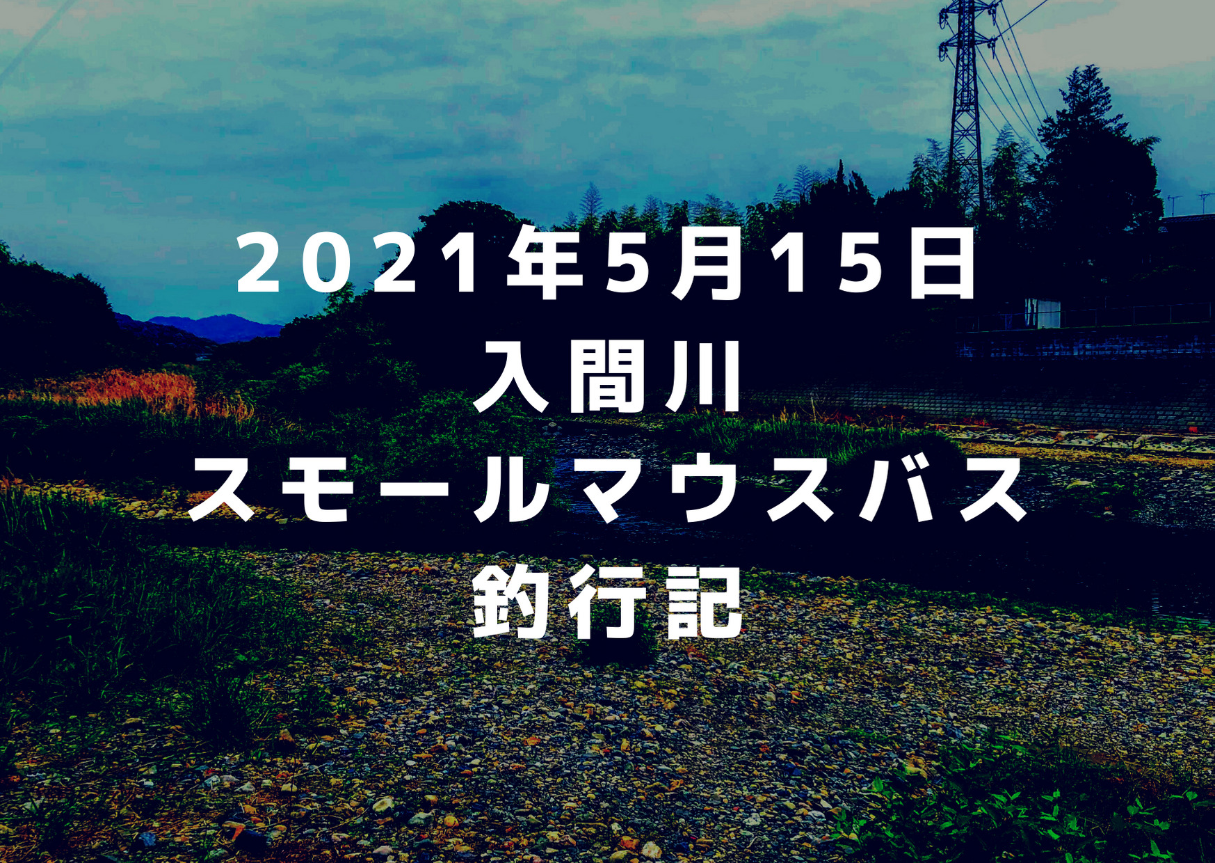 21年5月15日の入間川スモールマウスバス釣行記 ベイトっけがあるポイントで ペンシルベイトが炸裂 つれつれlab