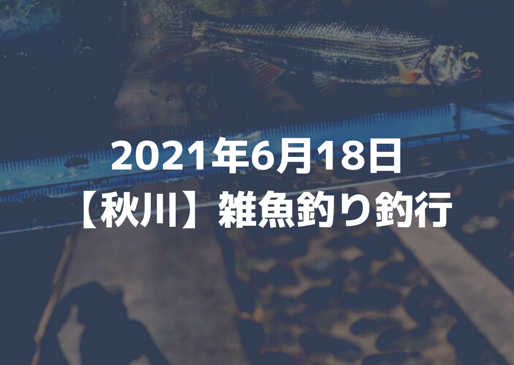 21年6月18日秋川雑魚釣り釣行 つれつれlab