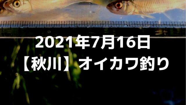 22年1月9日外房アジング釣行記録 つれつれlab