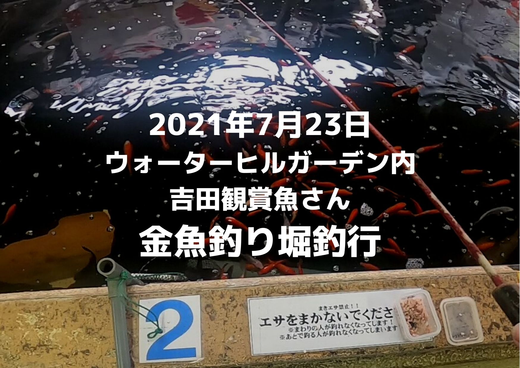 21年7月23日八王子ウォーターヒルガーデン金魚釣り つれつれlab