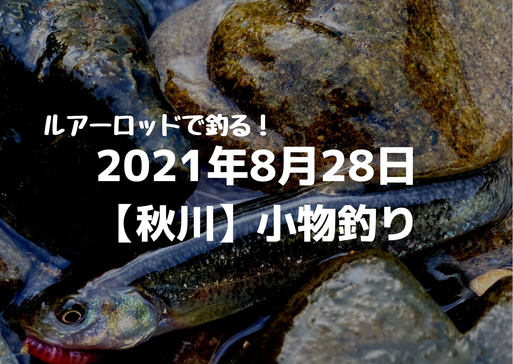 21年8月28日 秋川 ルアーロッドで小物釣り つれつれlab