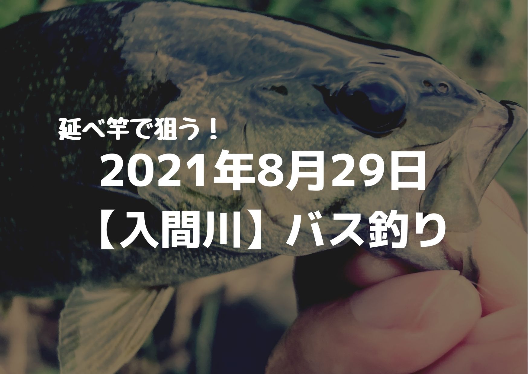 2021年8月29日入間川バス釣り釣行記録｜つれつれLab