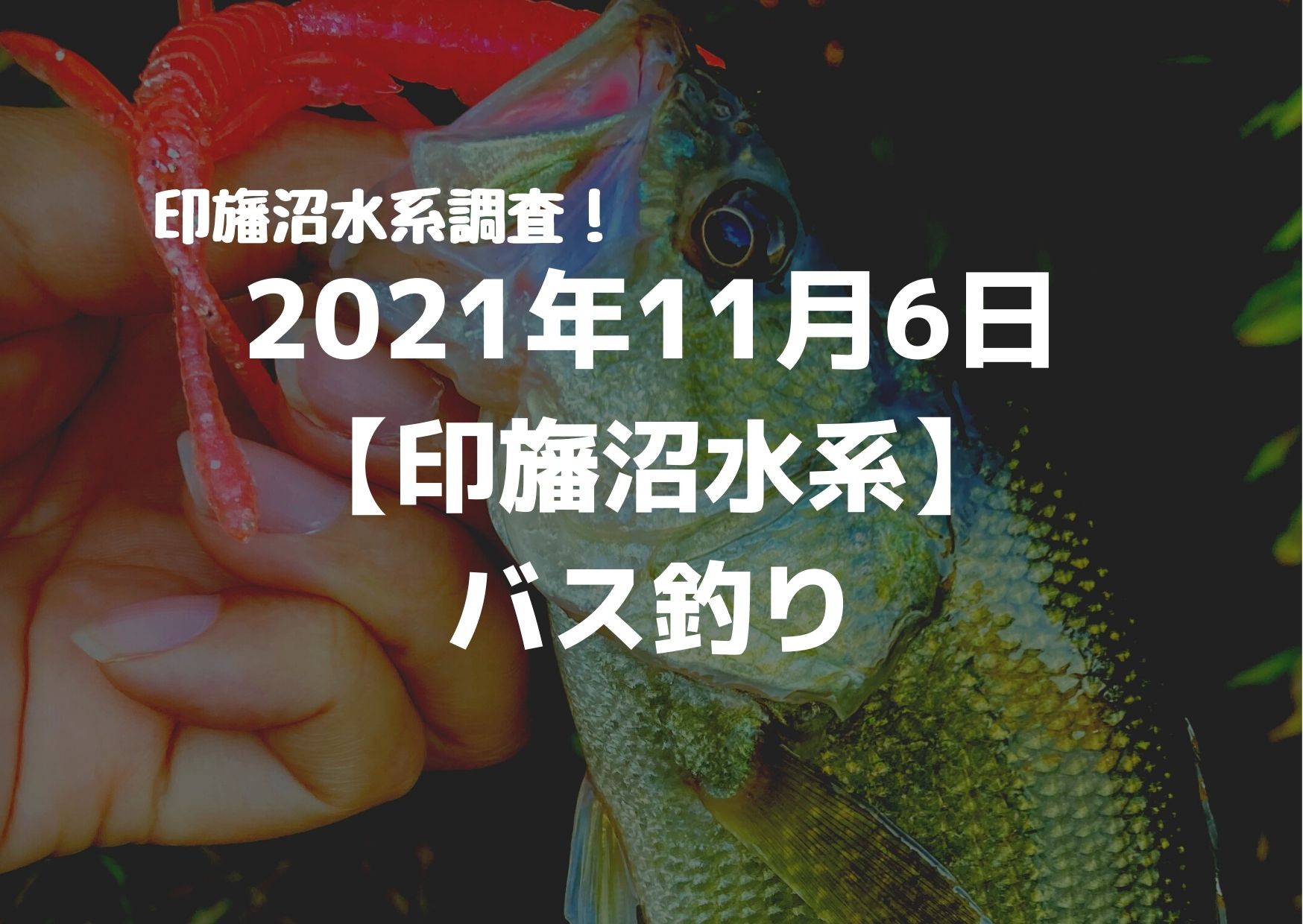 21年11月6日印旛沼水系バス釣り つれつれlab
