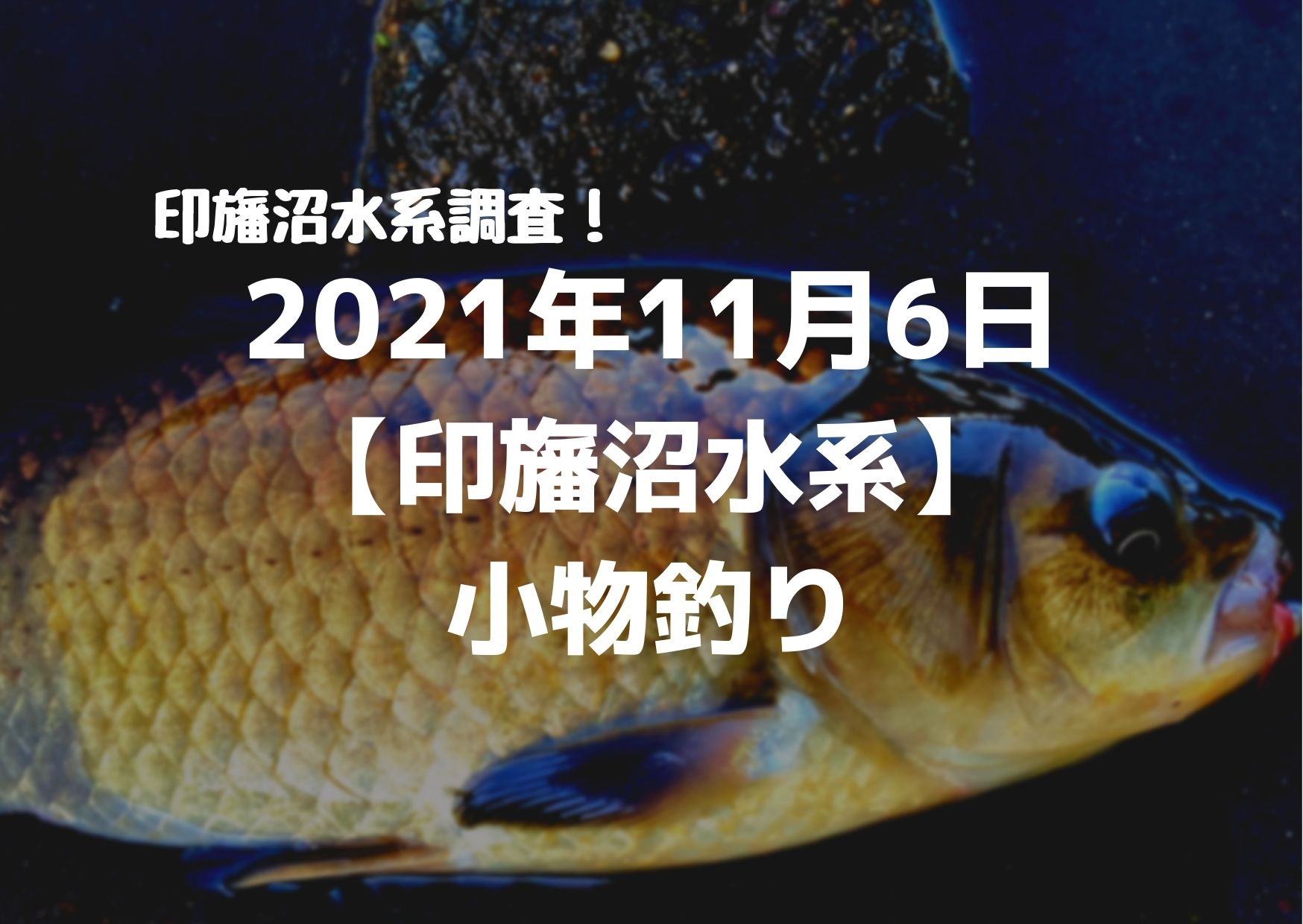 2021年11月6日マブナ釣り｜つれつれLab - 2021%E5%B9%B411%E6%9C%886%E6%97%A5 %E3%80%90%E5%8D%B0%E6%97%9B%E6%B2%BC%E6%B0%B4%E7%B3%BB%E3%80%91 %E5%B0%8F%E7%89%A9%E9%87%A3%E3%82%8A