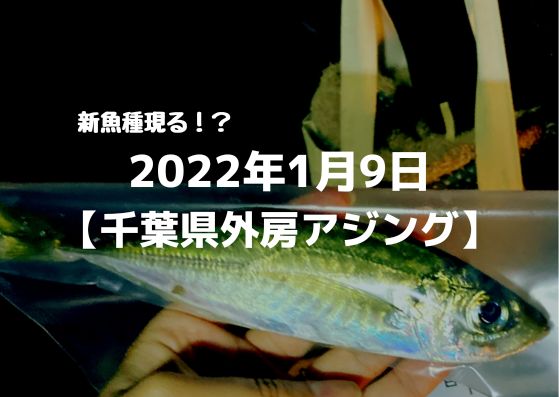 22年1月9日外房アジング釣行記録 つれつれlab