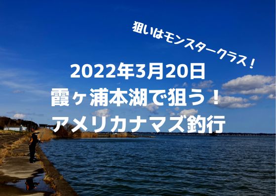 22年3月日霞ヶ浦アメリカナマズ釣行 つれつれlab